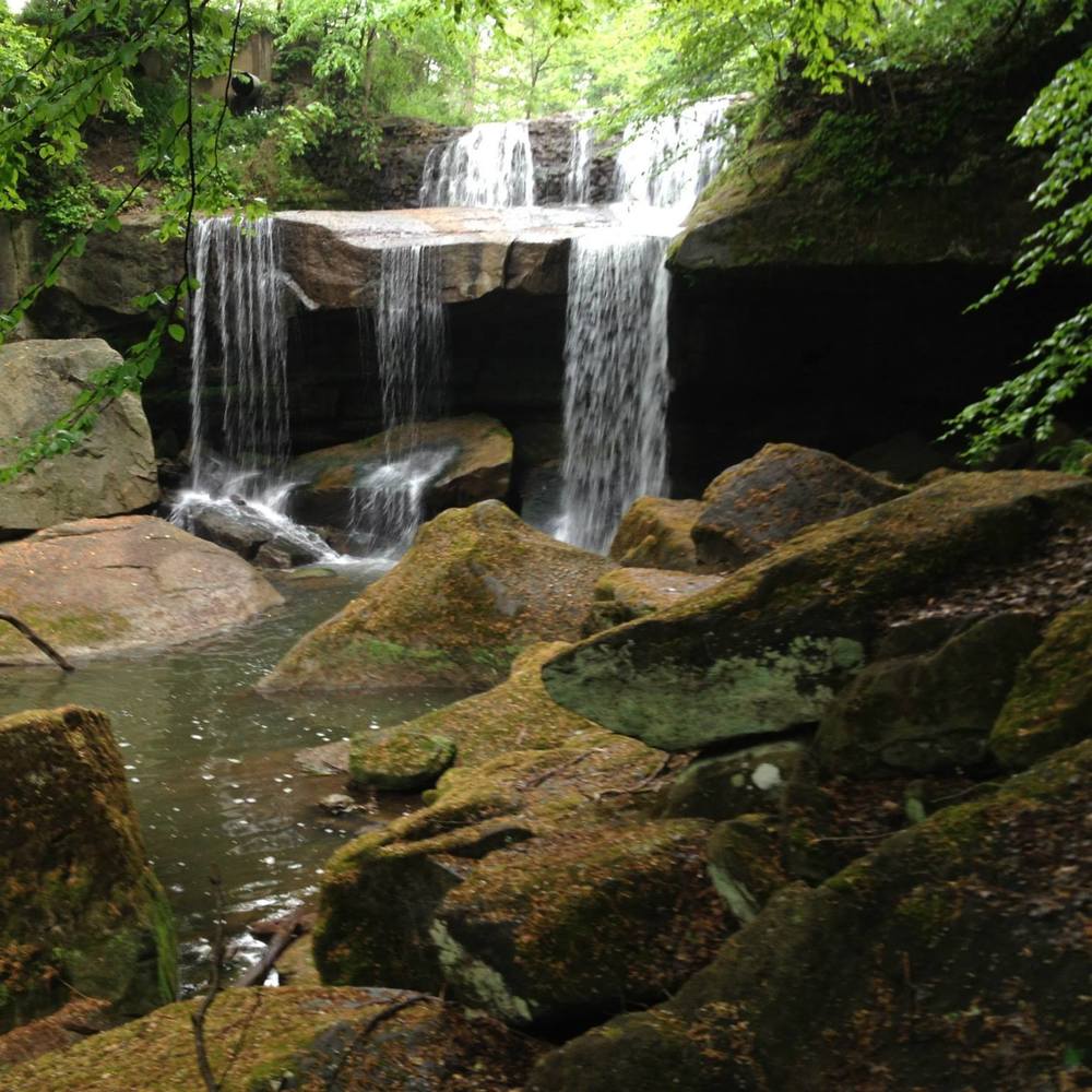 Meet your Posher, Zanna